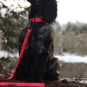 Biothane Short Lead (1.5m)