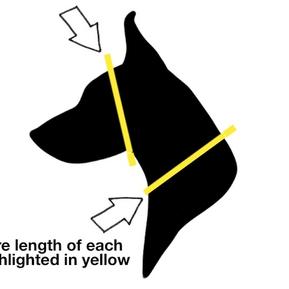 Custom Fit Biothane Martingale Collar