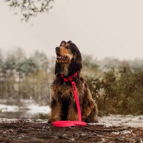 Biothane Short Lead (1.5m)