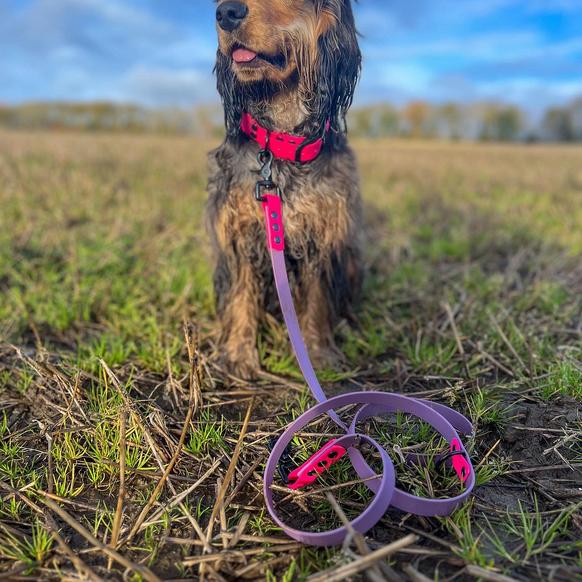 Biothane Double Clip Lead 