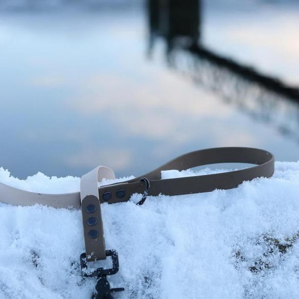 Biothane Short Lead (1.5m)